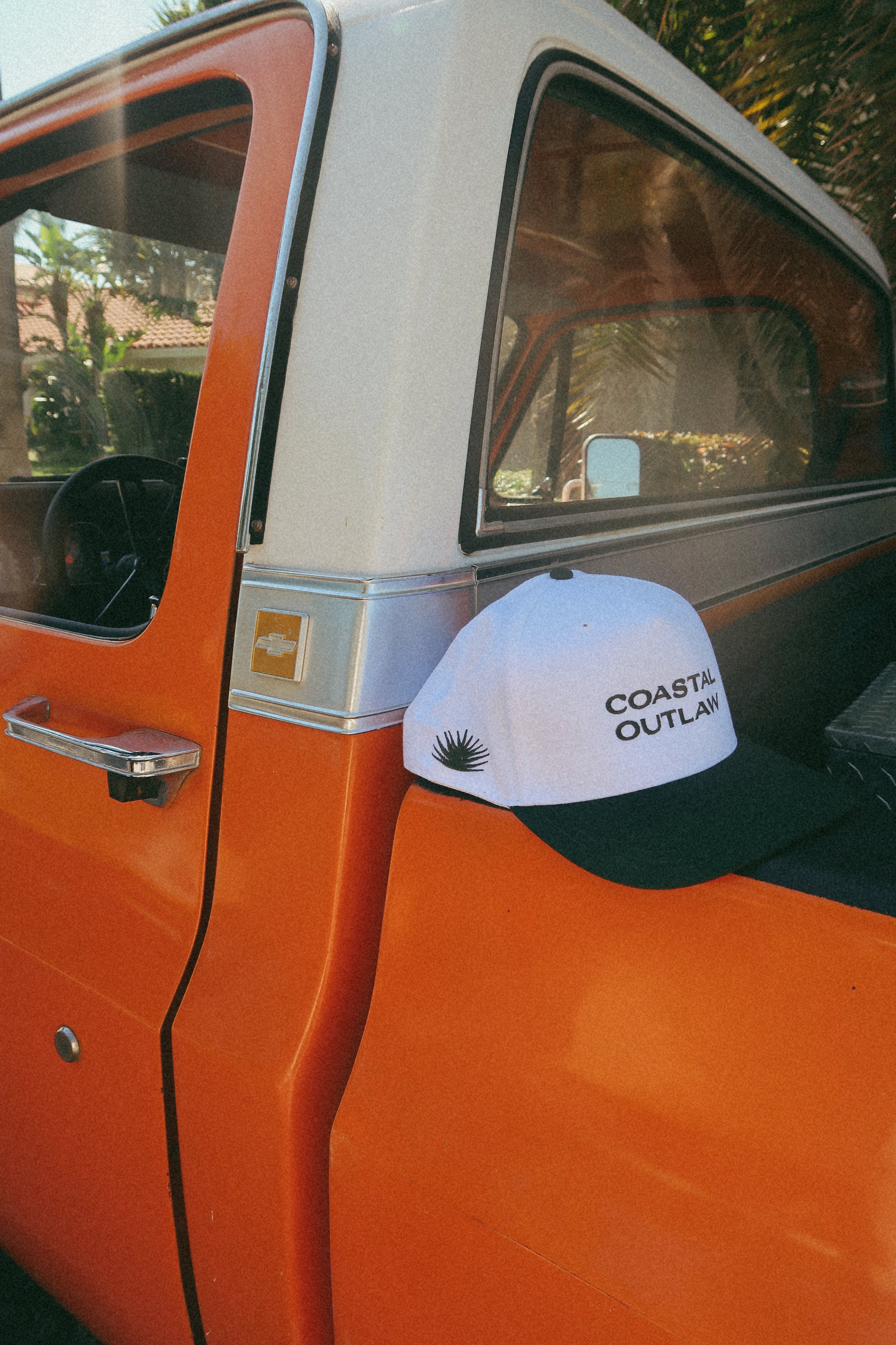 desert palm hat