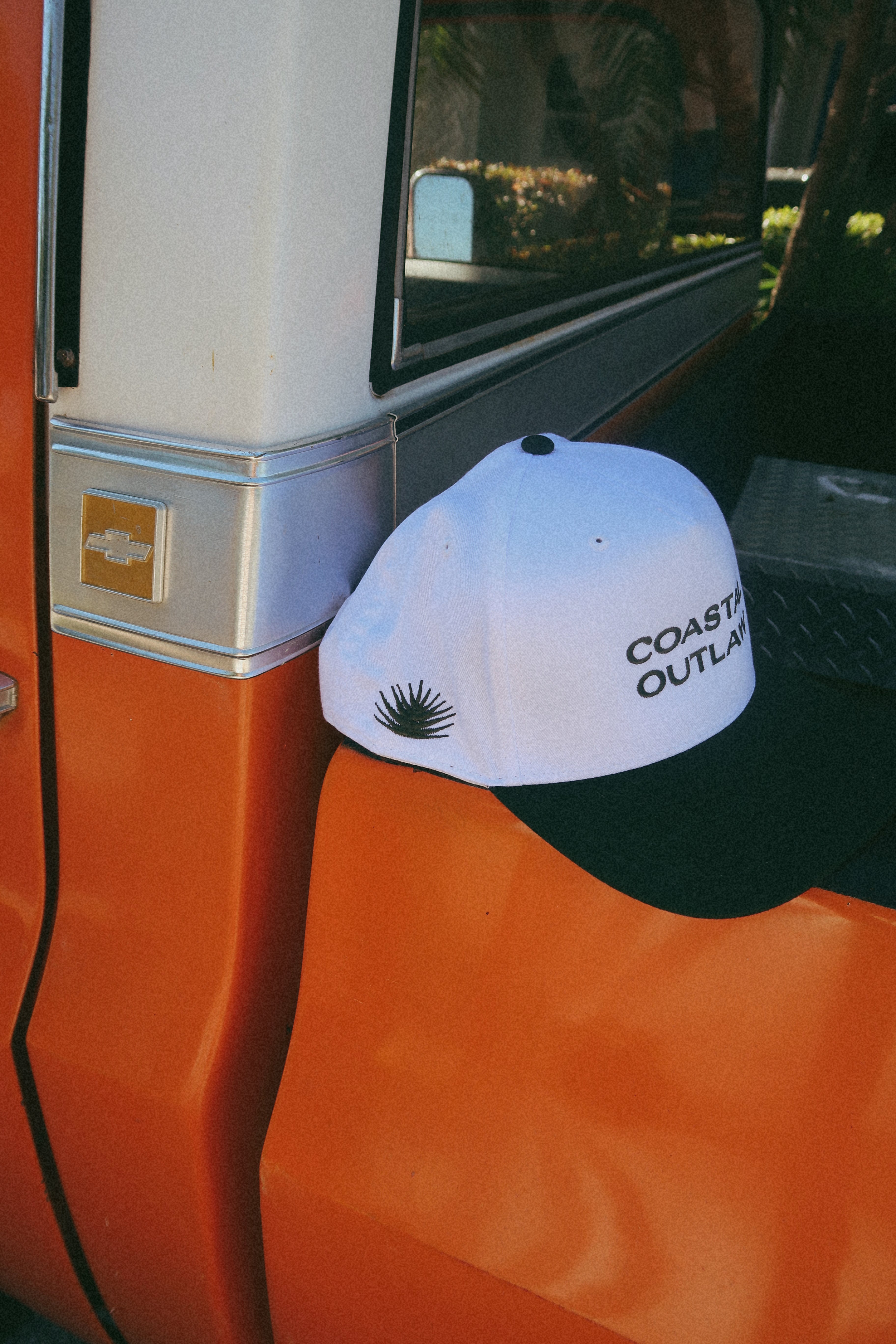 desert palm hat